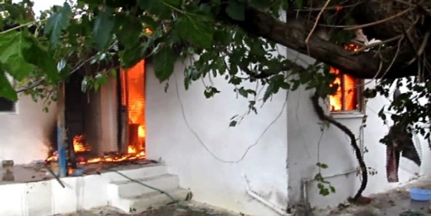 (özel Haber) Edremit’te Ağlatan Yangın