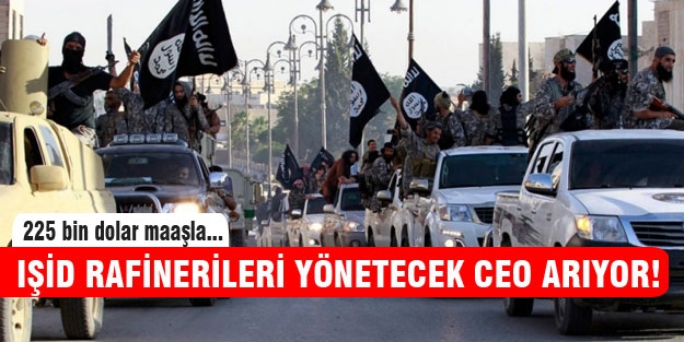 IŞİD 225 bin dolara çalışacak CEO arıyor