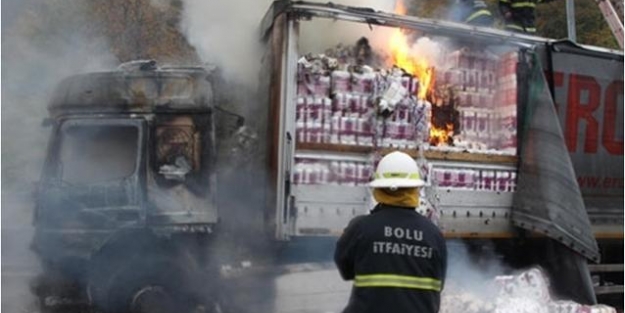 TEM'de TIR yangını!