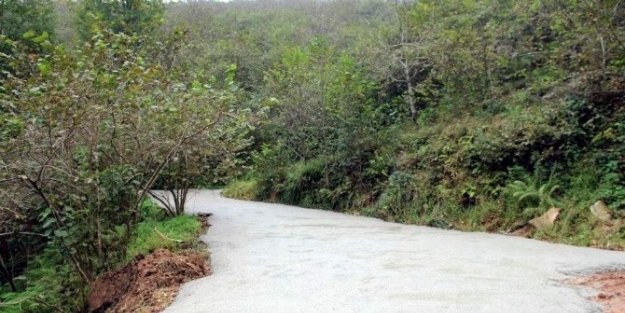 Yomra Belediyesi, Çalişmalarina Tüm Hızıyla Devam Ediyor