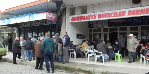 Burhaniye’de Sezonun İlk Havut Hayırı Yapıldı