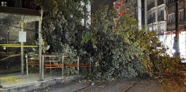 Tramvay durağına ağaç devrildi: 2 yaralı