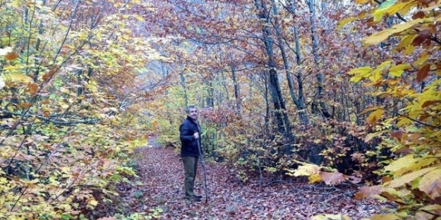 Şaphane’de Sonbahar Güzelliği