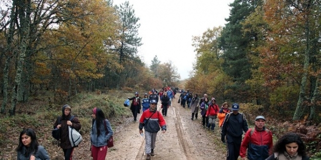 Doğa Tutkunları Taraklı’da Yürüyecek