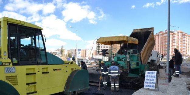 Yakutiye, Kırmacıyı Yetiştirmeye Çalişiyor