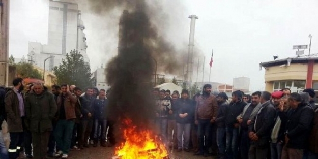 Kangal Termik Santralinde Taşeron İşçiler Eylemde