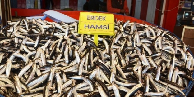 (özel Haber) - Hamsinin Fiyatı Hava Durumuna Endeksli