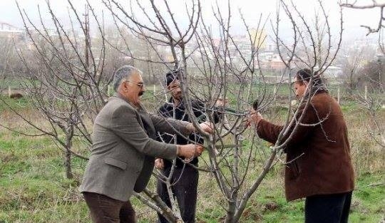 Kilis’te Budama Kursu