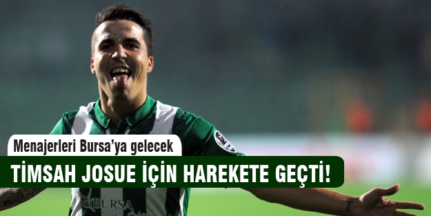 Timsah Josue için harekete geçti!