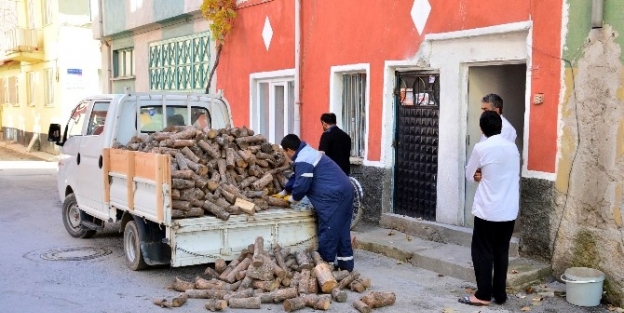 2 Bin Aileye Yakacak Yardımı