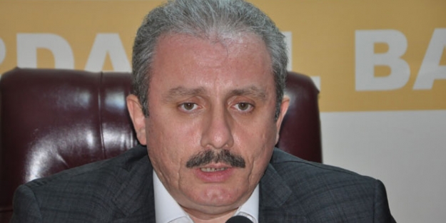 Mustafa Şentop "Kürtlerin en büyük partisi AK Partidir"