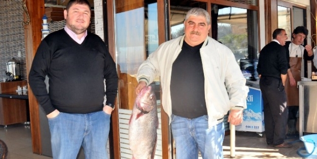 Marmara’da 11.5 Kiloluk Minekop Balığı Yakalandı