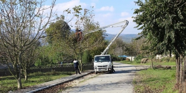 Arifiye’de Parklar Yenileniyor