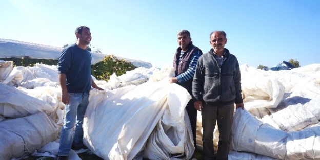 Sarıgöl’de Hurda Üzüm Örtüsü Alımına Başlandı