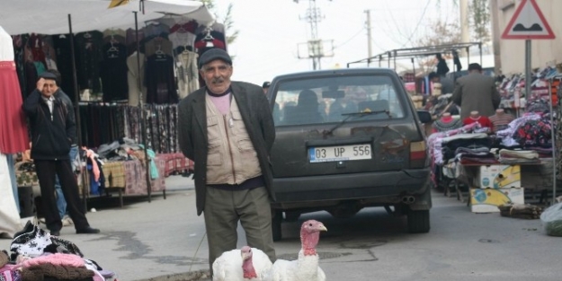 20 Kilogram Ağırlığındaki Hindiler Görenleri Şaşkina Çevirdi