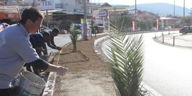 Dikili’de Yeşil Seferberlik