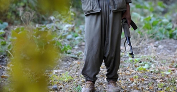 Şırnak'ta 419 PKK'lı teslim oldu!