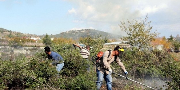 Erdemli Ve Silifke Mezarlıklarına Bakım