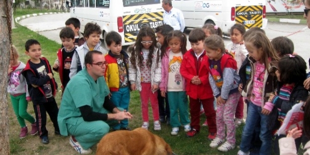 Minik Eller Barınakta