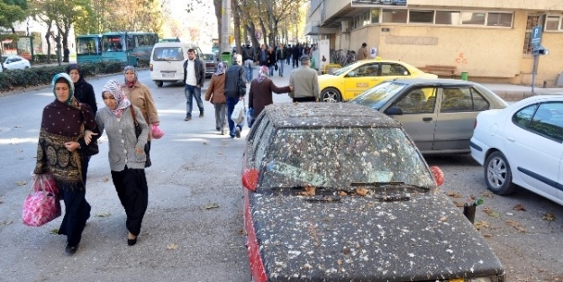 Otomobil Kuş Pisliğine Büründü