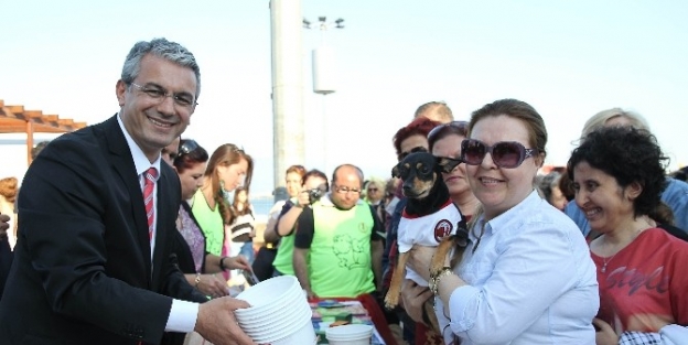 Can Dostlar Kışın Güvende