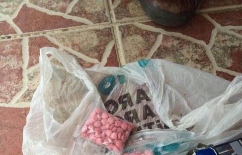 Bonzai Sevkiyatına Polis Baskını