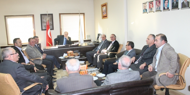 Gemlik'e Zeytin Enstitüsü açılıyor