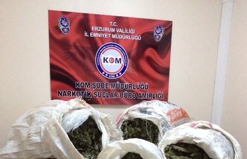 Erzurum’da 52 Kilo Esrar Ele Geçirildi