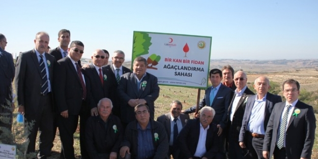 Bir Kan Bir Fidan Kampanyasında İlk Fidanlar Toprakla Buluştu