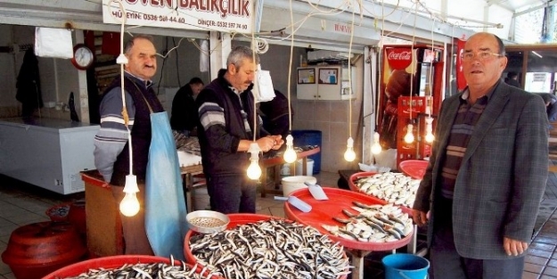 Bandırma’da Balık Bereketi Yaşanıyor