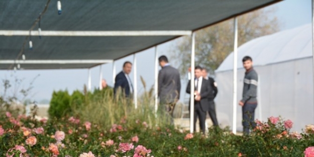 Kendi Çiçek Ve Bitkilerini Üretecekler