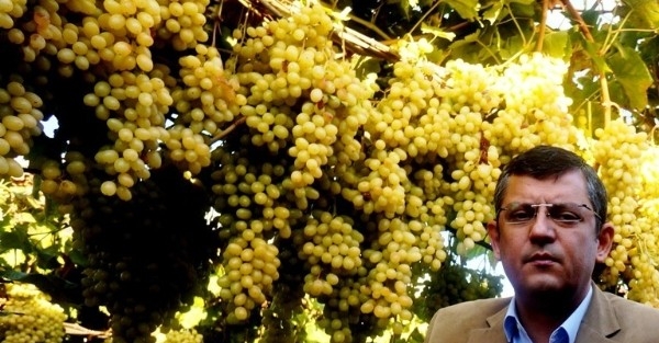 Chp’li Özel: Üzüm Üreticisine Kredi Verilmeli