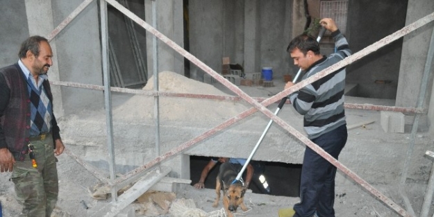 İnşaatin Bodrum Katına Düşen Köpeği İtfaiye Kurtardı