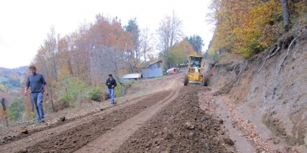 Ulaşım Ağı Büyüyor