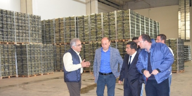 Selçuk’un Başkanvekili Başterzi, Emin Konuştu