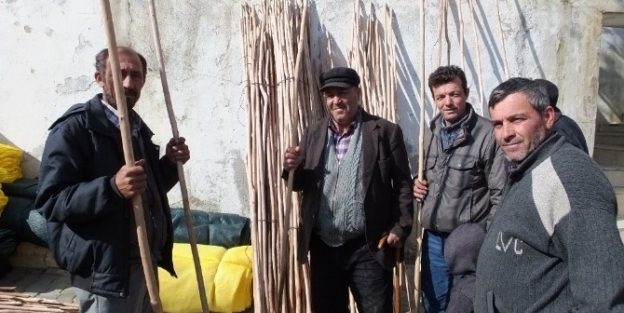 Teknolojiye Rağmen Zeytin Sırıkları Yok Satıyor