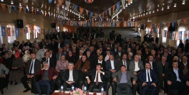 Ordu’da Ak Parti Kongreleri Başladı