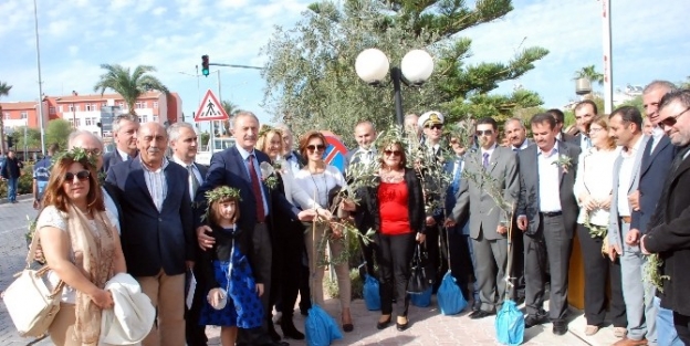 3. Uluslarası Didim Zeytin Festivali Başladı