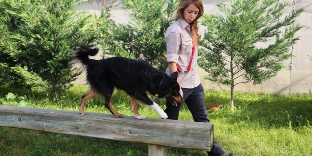 NAK'a Bailey desteği