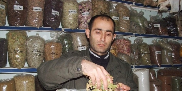 Soğuk Hava Artarların Satışını Artırdı