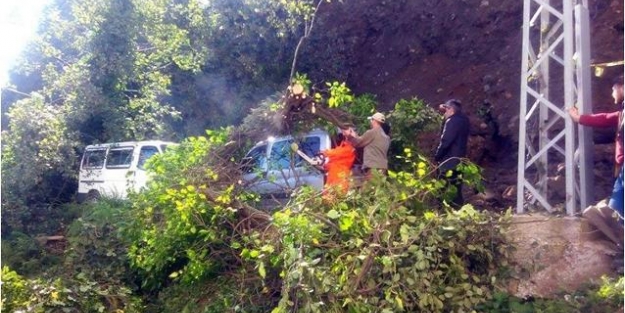 6 araç toprak altında kaldı