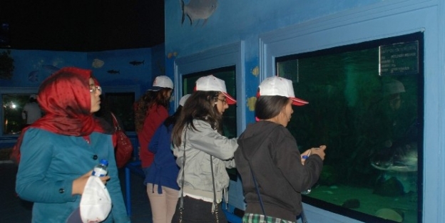 Kahramanmaraşlı Öğrenciler Gaziantep Hayvanat Bahçesini Gezdi