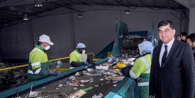 Möp Projesi, 100 Bin Ağacı Kesilmekten Kurtardı