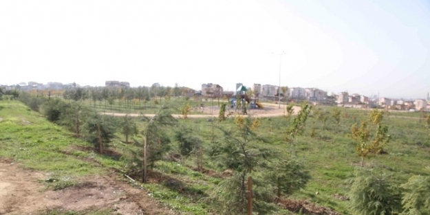 Çayirova Çağdaş Kent Mesire Alanı Genişletiliyor