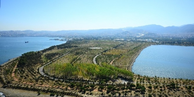 İnciralti Kent Ormanı Nefes Aldırıyor