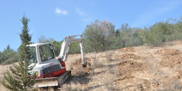 Otoyol Kenarına Fidanlar Dikilecek