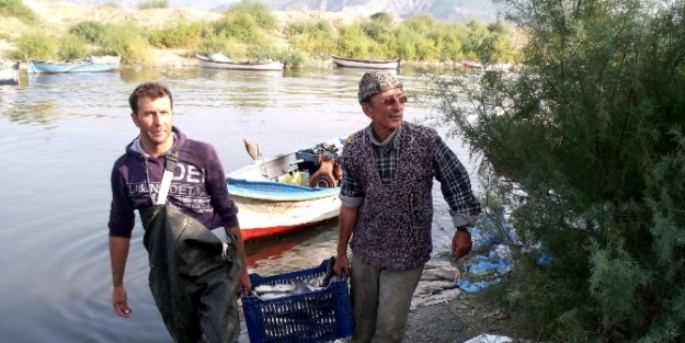 Bafa Gölünün Kefali İzmir Ve Adana Yolcusu