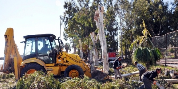 Erdemli Belediyesi Park Bahçe Bakımını Sürdürüyor