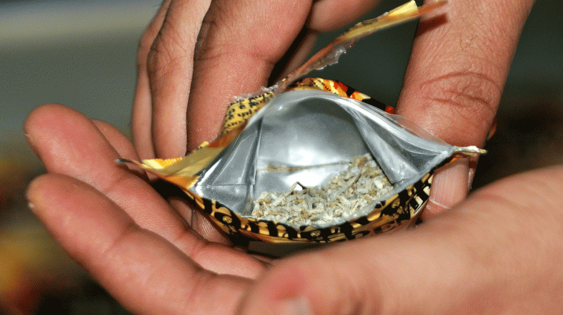 Sigaranın içinden Bonzai çıkarsa şaşırmayın!