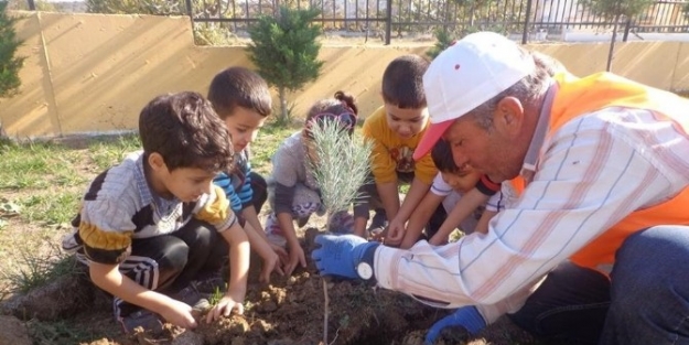 Germencik’te "bir Ağaç Bir Hayat, Bir Orman Bin Hayat" Etkinliği